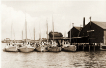 Fishing boats at Blacks Harbour