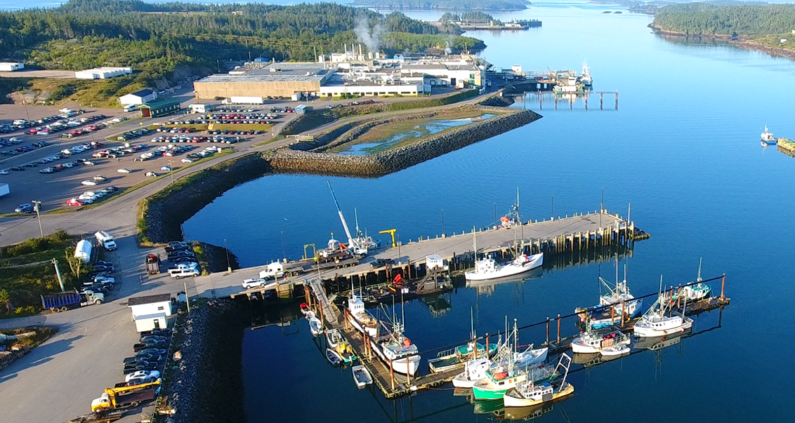 The Brunswick plant in Blacks Harbour today